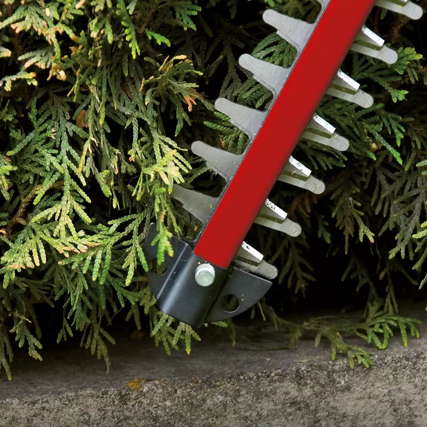 Einhell 3410709 18V 20" Corldess hedge Trimmer Kit, GE-CH 1846 Li-Kit (1) 2AH